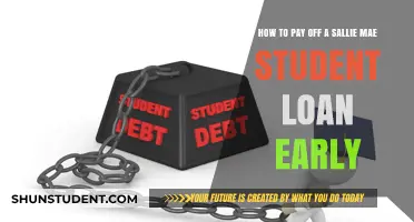 Erase Your Sallie Mae Debt Early