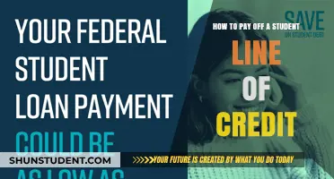 Smart Strategies to Repay Student Line of Credit