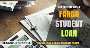 Strategies to Repay Your Wells Fargo Student Loan