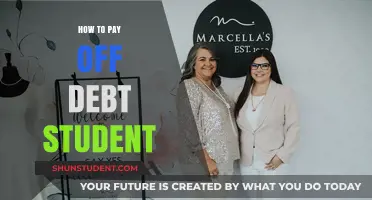 Strategies to Eradicate Student Debt