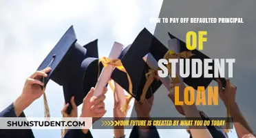 Strategies to Repay Defaulted Student Loan Principal