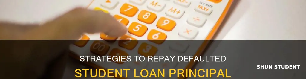 how to pay off defaulted principal of student loan