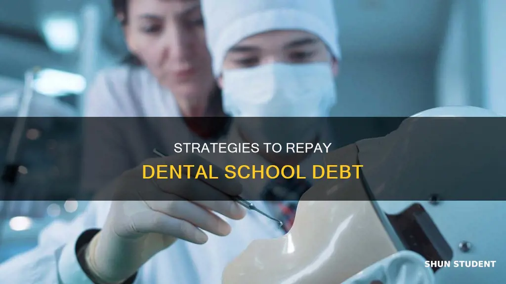 how to pay off dental student debt