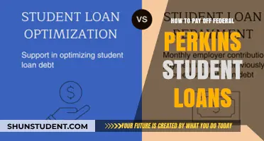 Perkins Student Loans: Strategies for Repayment