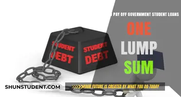 Paying Off Student Loans: Lump Sum Benefits