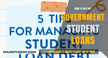 Student Loan Strategies: Repay Government Debt