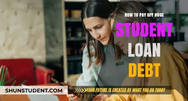 Strategies to Eradicate Your Student Loan Debt