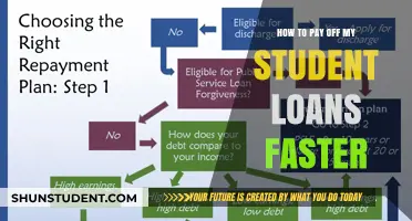 Strategies to Quickly Repay Student Loans