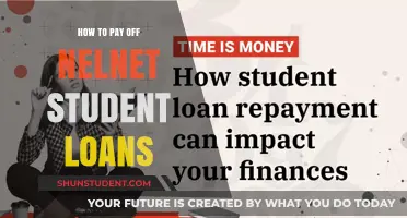 Strategies to Repay Nelnet Student Loans