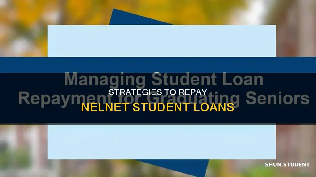 how to pay off nelnet student loans