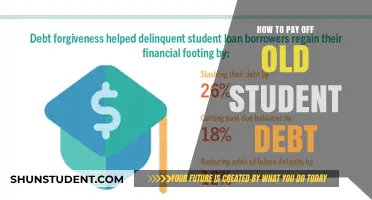 Strategies to Repay Old Student Debt