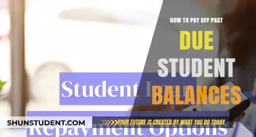 Eradicate Student Debt: Strategies for Past-Due Balances