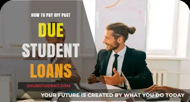 Strategies to Repay Past-Due Student Loans