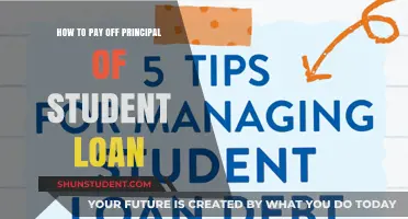Strategies to Reduce Student Loan Principal