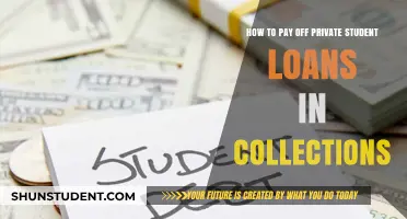 Strategies to Repay Private Student Loans in Collections