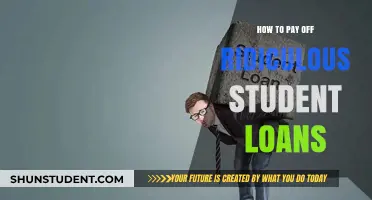 Student Debt: Strategies to Eradicate Your Loans