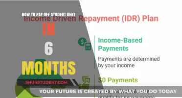 Eradicating Student Debt: Fast and Furious Ways