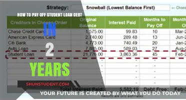 Eradicating Student Loan Debt in 2 Years: A Guide