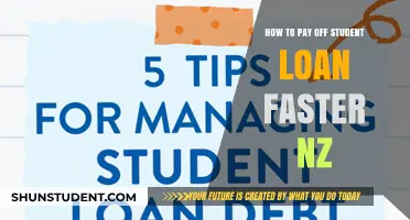 Smart Strategies to Repay Student Loans Faster in NZ