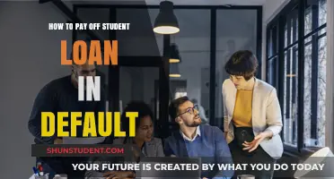 Strategies to Repay Defaulted Student Loans