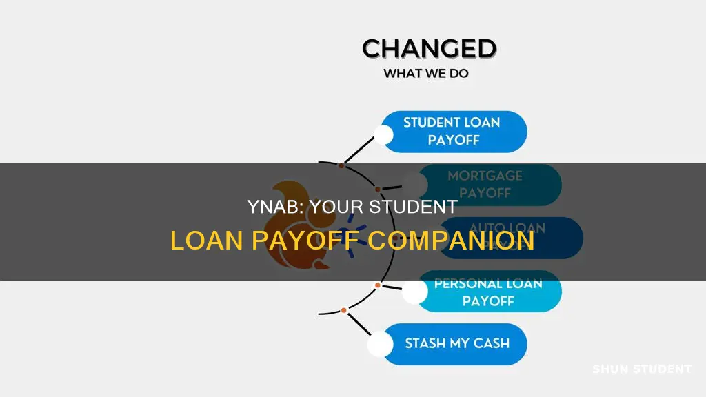 how to pay off student loan using ynab