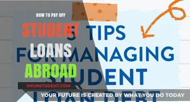 Paying Off Student Loans While Living Abroad: A Guide