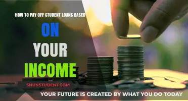 Smart Strategies to Repay Student Loans Based on Income