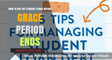 Strategies to Repay Student Loans Before Grace Period Expires