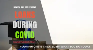 Student Loan Strategies: COVID-19 Edition
