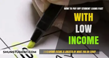 Strategies to Quickly Pay Off Student Loans on a Low Income