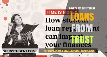 Trust Fund Student Loan Repayment: A Smart Strategy