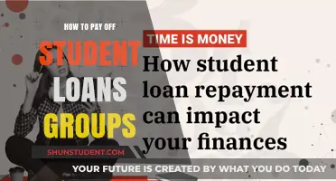 Student Loan Strategies: Group Payment Plans