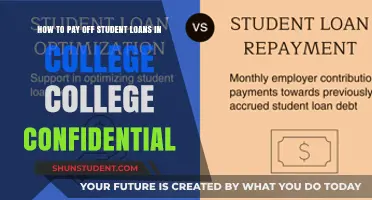Strategies to Repay Student Loans While in College