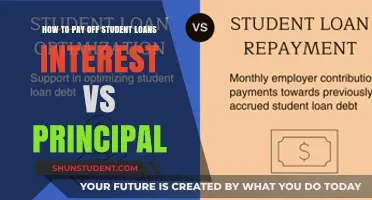 Strategies to Tackle Student Loans: Principal vs Interest