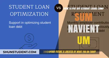 Paying Off Student Loans: Navient Lump Sum Option