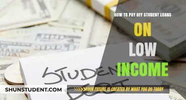 Student Loan Strategies: Low Income, Smart Repayment