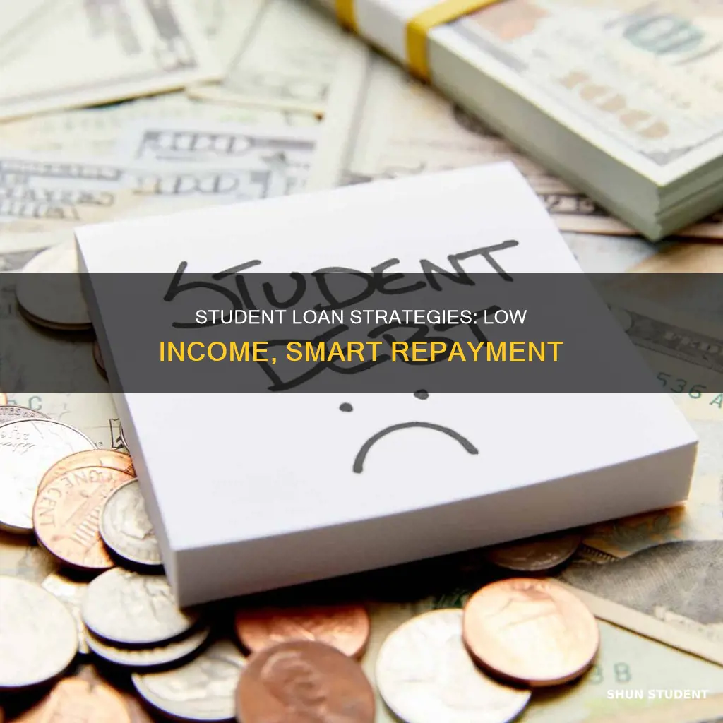 how to pay off student loans on low income