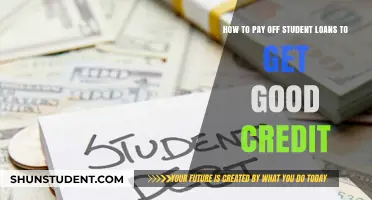 Student Loan Strategies: Credit Score Improvement