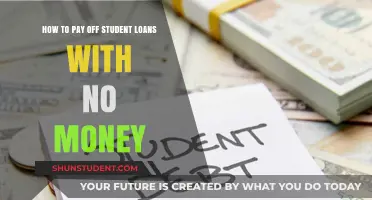Strategies to Repay Student Loans Without a Fortune