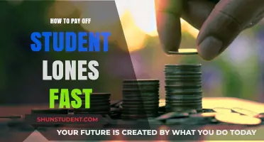 Eradicating Student Loan Debt: Fast and Efficient Strategies