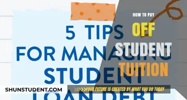 Strategies to Repay Student Tuition