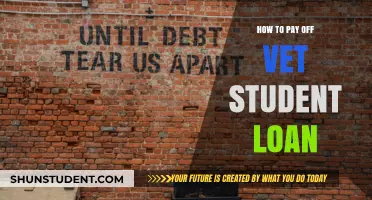 Veterinary Student Loan: Repayment Strategies for New Grads