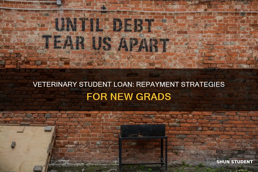 how to pay off vet student loan