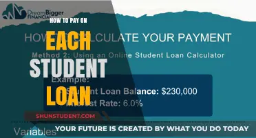 Student Loan Payment Strategies: A Guide