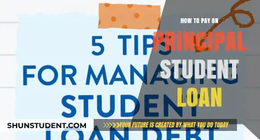 Paying Off Student Loans? Focus on the Principal