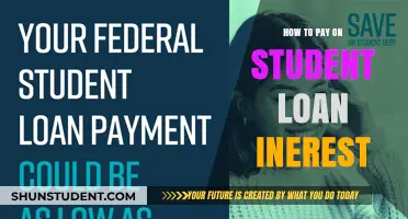 Student Loan Interest: Strategies for Payment
