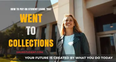 Student Loans in Collections: Strategies for Payment