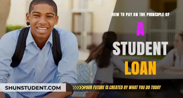 Student Loan Strategies: Paying Off Principal