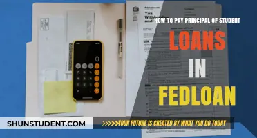 Paying Off Student Loans: FedLoan Principal Strategies