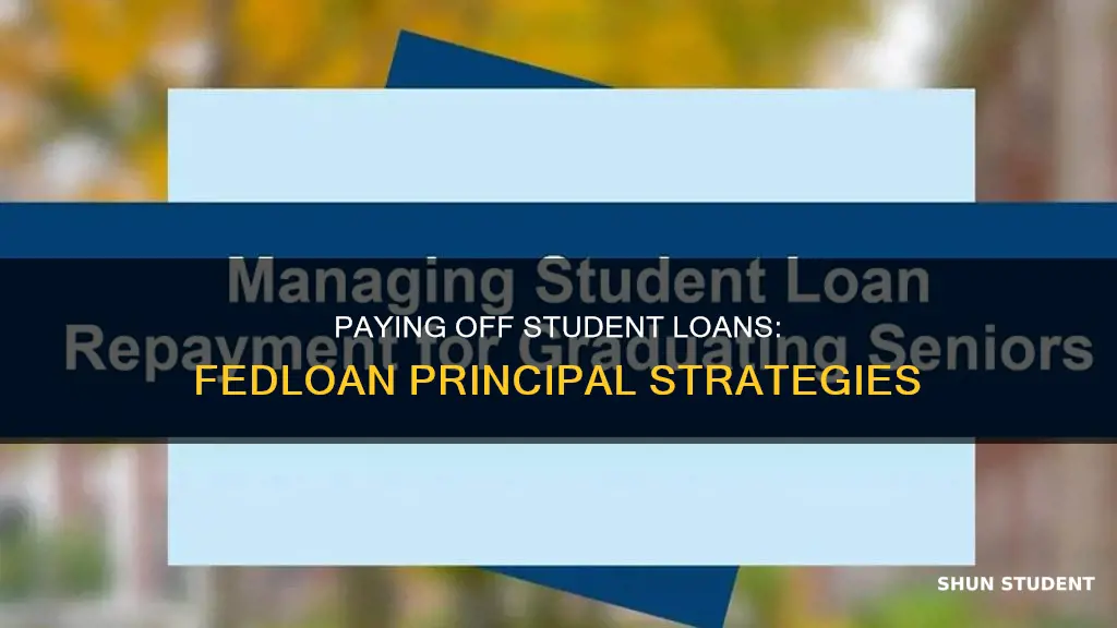 how to pay principal of student loans in fedloan